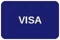 Visa支付